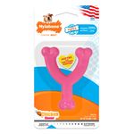 Nylabone-Puppy-Chew-Pink-Wishbone-Chicken---Petite