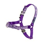 Petsafe-Bling-Easywalk-Arnes-Morado-Small