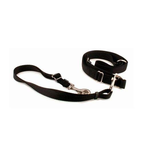 Petsafe Hands Free Leash