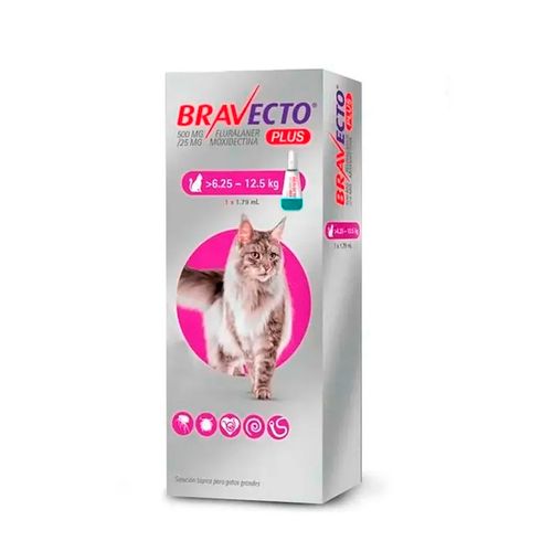 Bravecto Plus Gato 6.25 - 12.5 kg