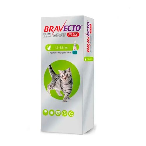 Bravecto Plus Gato 1.2 - 2.8 kg