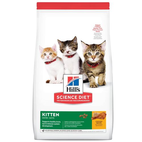 Hill's Science Diet Gato Kitten 7 kg