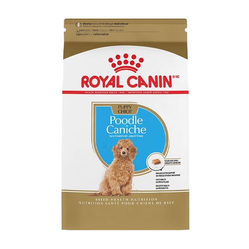 Royal Canin BHN Poodle Puppy 3 kg