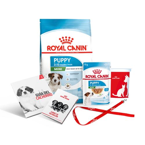 Royal Canin Pack Mini Puppy 800 gr