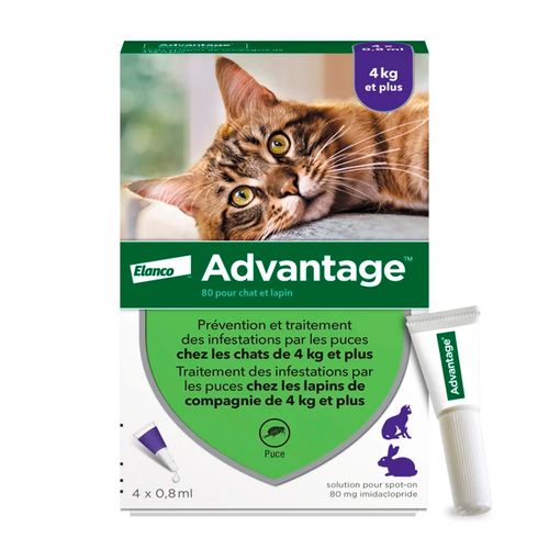 Advantage 4 kg - 8 kg (0.8 ml) X1 Pipeta