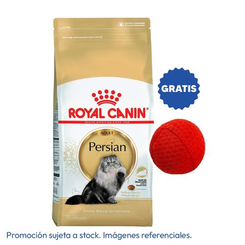 Royal Canin FBN Persian Adult 4 kg