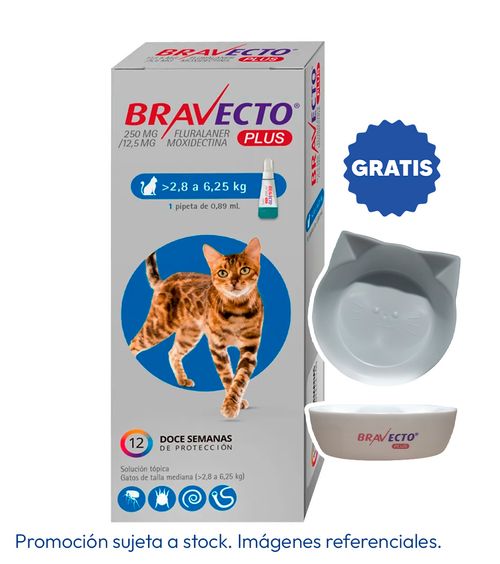 Bravecto Plus Gato 2.8 - 6.25 kg X1 Pipeta