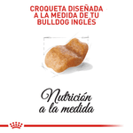 BHN-BULLDOG-INGLES-ADULT---CROQUETA