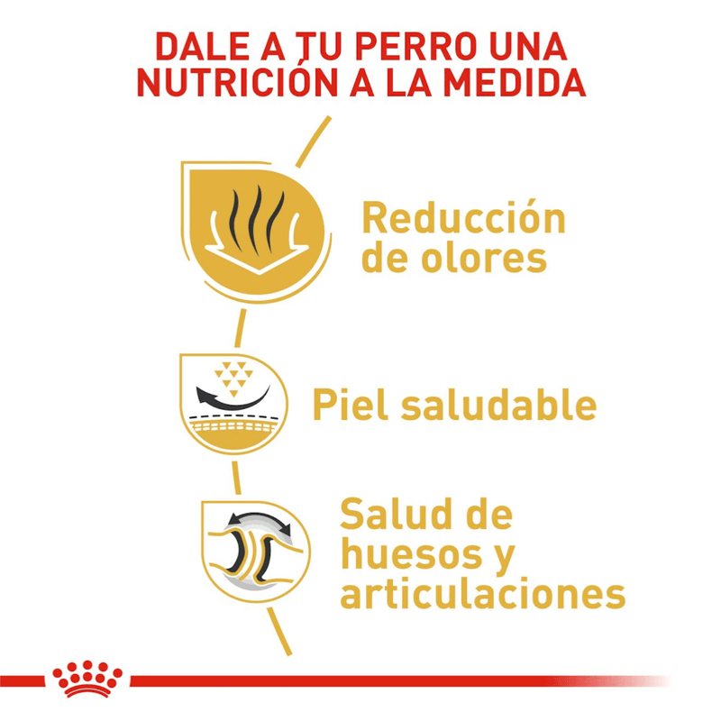 BHN-BULLDOG-INGLES-ADULT---NUTRICION-A-LA-MEDIDA