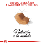 BHN-SHIH-TZU-ADULT---CROQUETA