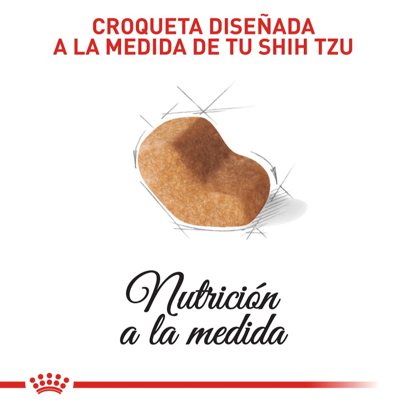 BHN-SHIH-TZU-ADULT---CROQUETA