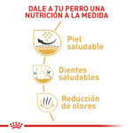 BHN-SHIH-TZU-ADULT---NUTRICION-A-LA-MEDIDA