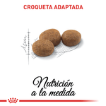 R361668---FHN-STERILISED37-FD-2KG--4-