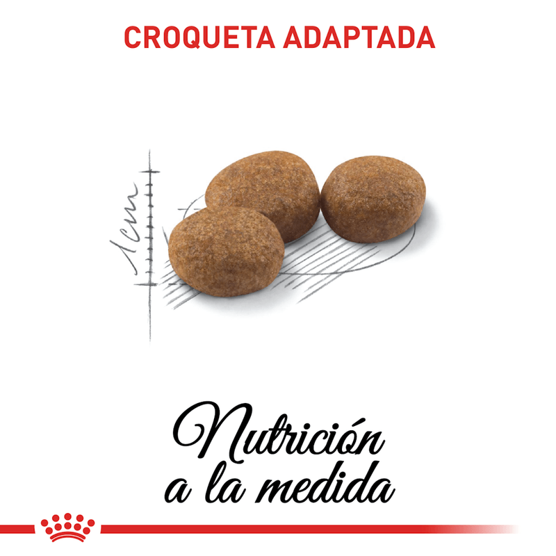 R361668---FHN-STERILISED37-FD-2KG--4-