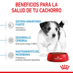 SHN MINI PUPPY - BENEFICIOS