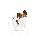 R360903---SHN-XSMALL-ADULT-CD-1.5KG--2-