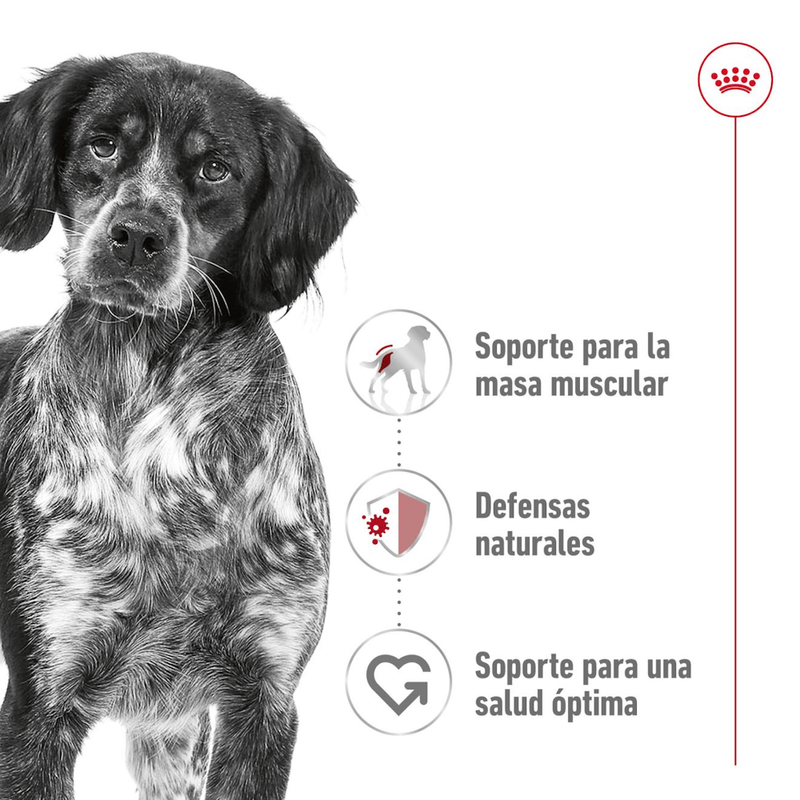 SHN MEDIUM ADULT - NUTRICION A LA MEDIDA