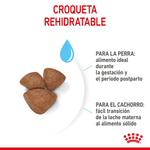 SHN MINI STARTER M-B DOG - CROQUETA