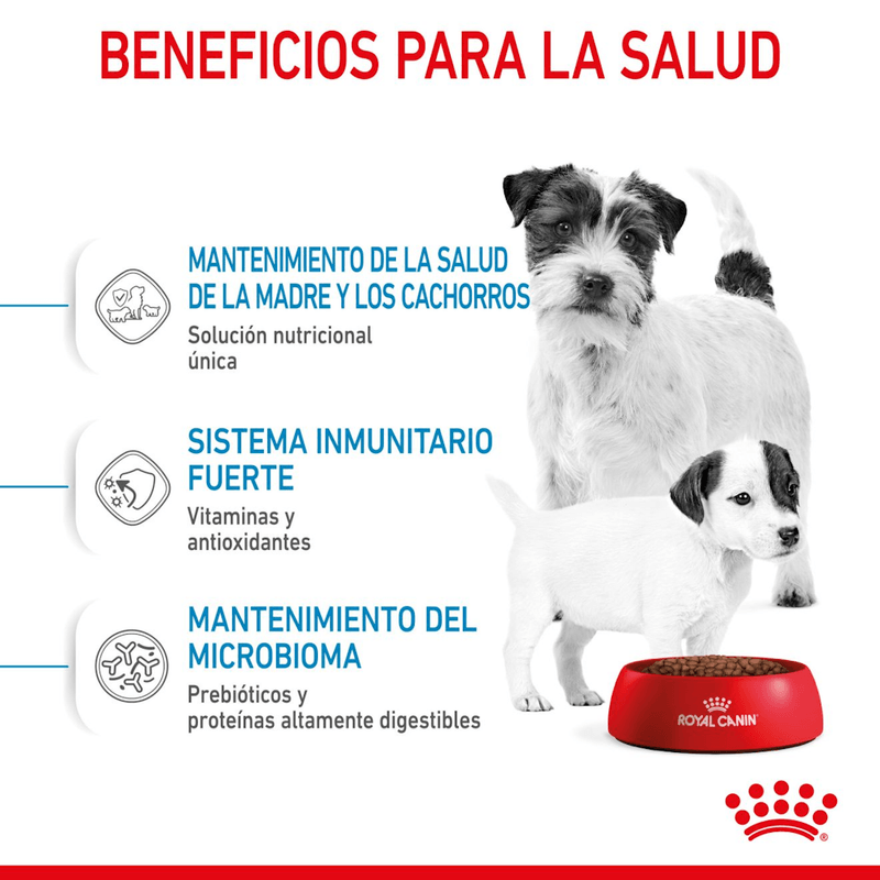 SHN MINI STARTER M-B DOG - BENEFICIOS