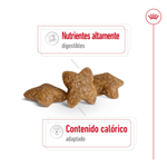 SHN-MINI-ADULT---CROQUETA