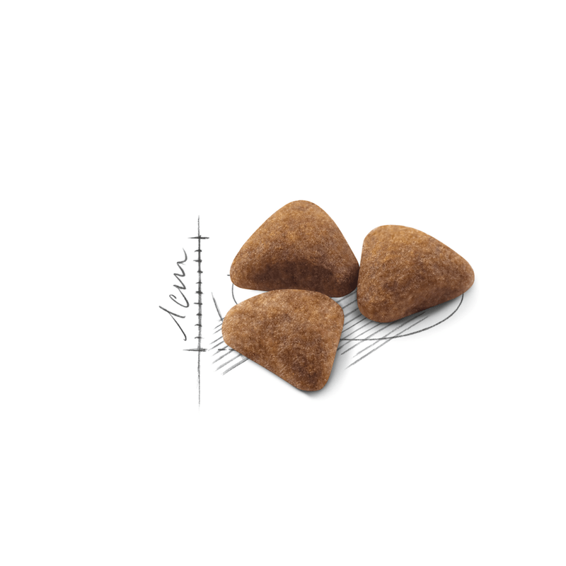 R448526 - FHN INDOOR27 FD 2KG -3-