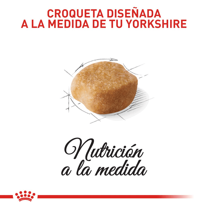 BHN YORKSHIRE ADULT - CROQUETA