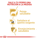 BHN YORKSHIRE ADULT - NUTRICION A LA MEDIDA