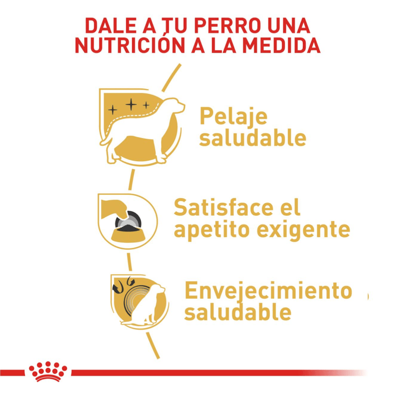 BHN YORKSHIRE ADULT - NUTRICION A LA MEDIDA