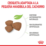 SHN MINI PUPPY - CROQUETA