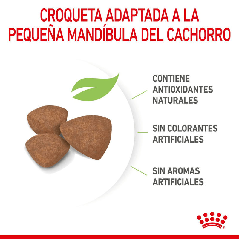 SHN MINI PUPPY - CROQUETA