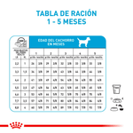 R448638 - SHN XSMALL PUPPY CD 1.5KG -7-