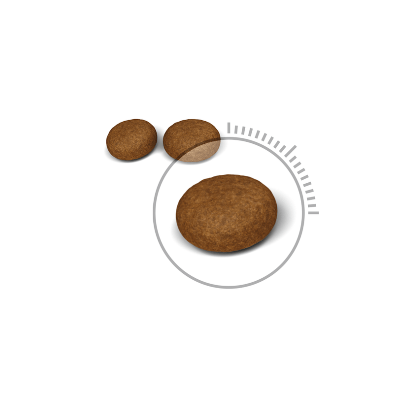 R448450 - FCN HAIR - SKIN CARE FD 2KG -4-