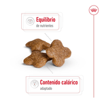 SHN MINI ADULT +8 - CROQUETA