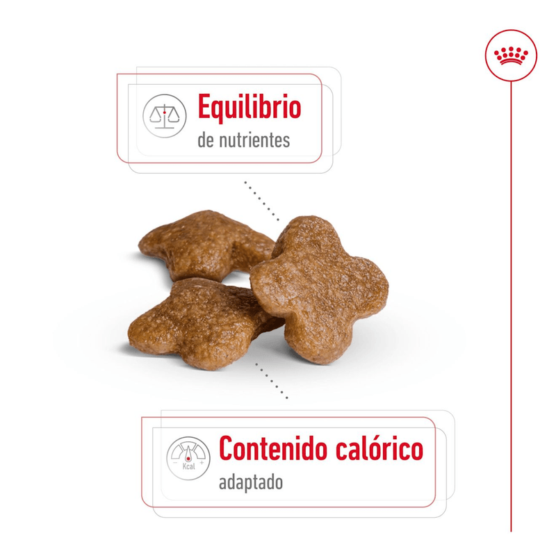 SHN MINI ADULT +8 - CROQUETA