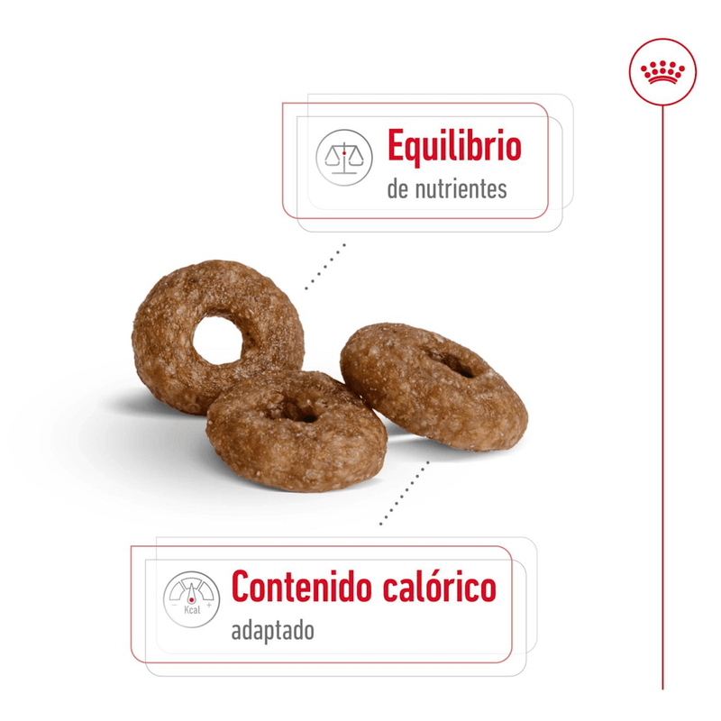 SHN-MINI-AGEING--12---CROQUETA