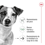 SHN-MINI-AGEING--12---NUTRICION-A-LA-MEDIDA