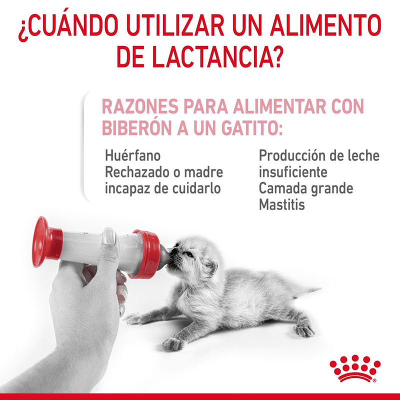 BABYCAT MILK - CUANDO UTILIZAR
