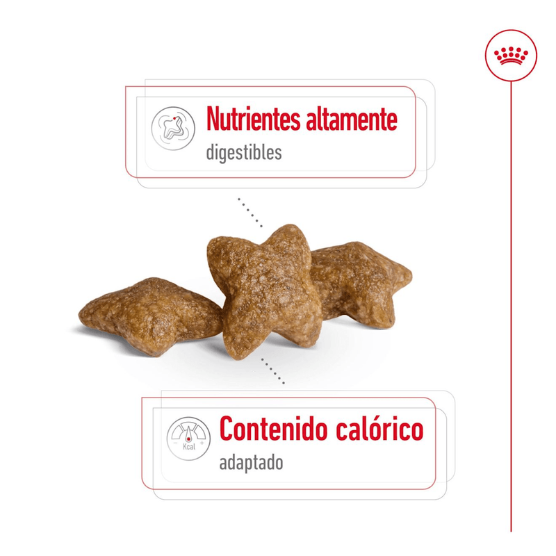 SHN MINI ADULT - CROQUETA