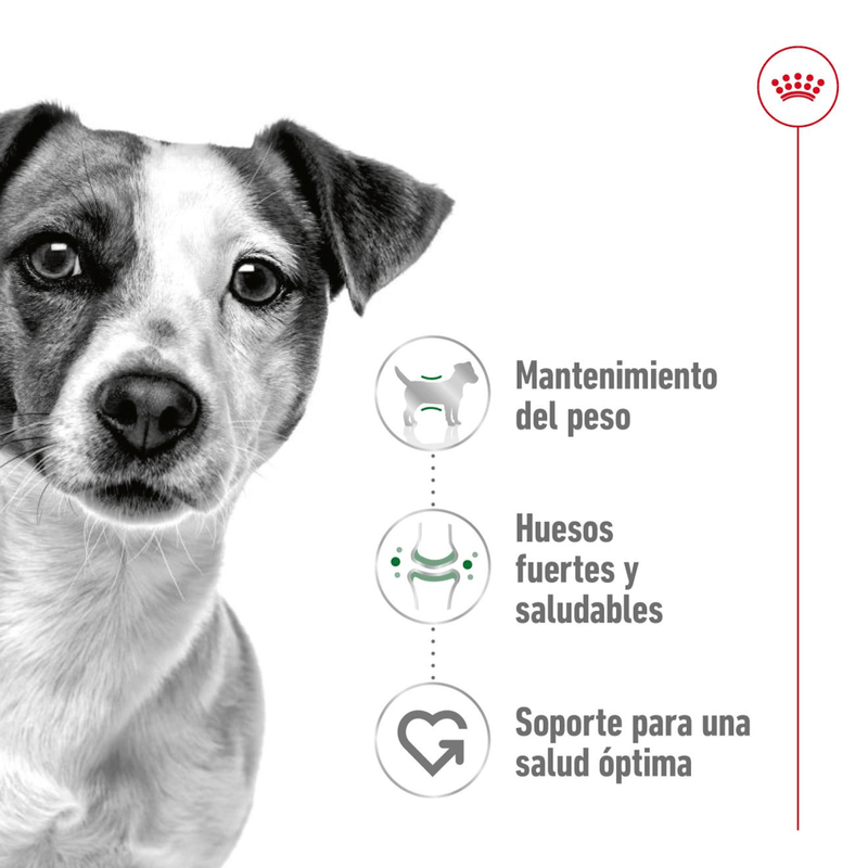 SHN MINI ADULT - NUTRICION A LA MEDIDA