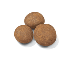 SHN MAXI PUPPY - CROQUETA