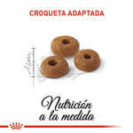 R376589---FHN-FIT32-FD-2KG--4-