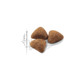 R448526---FHN-INDOOR27-FD-2KG--3-