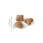 R447977---FHN-SENSIBLE-FD-2KG--3-