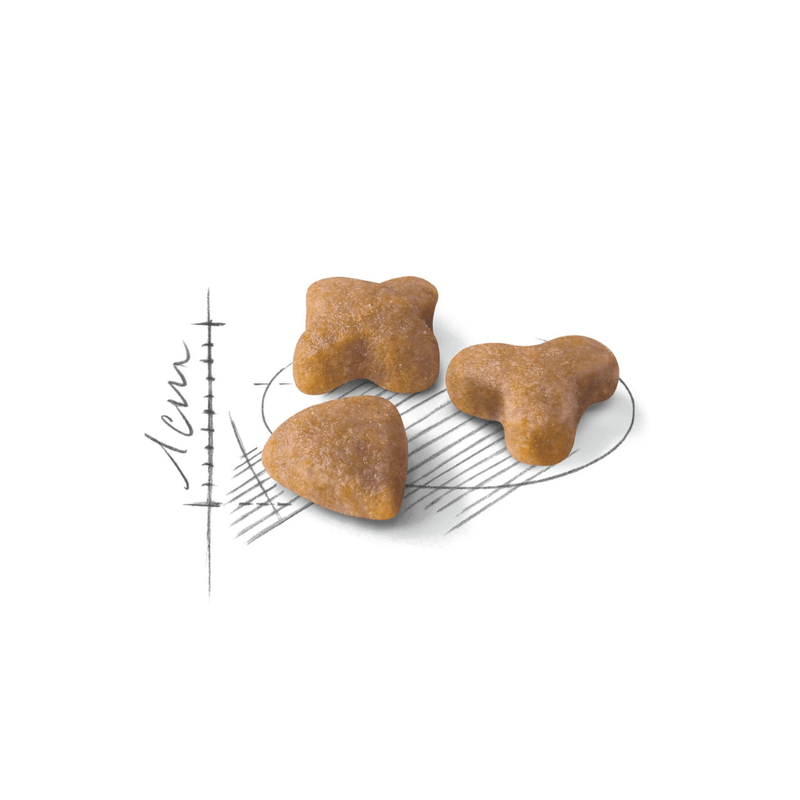 R447977---FHN-SENSIBLE-FD-2KG--3-