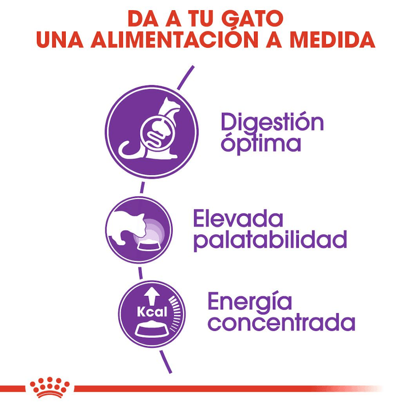 R447977---FHN-SENSIBLE-FD-2KG--2-