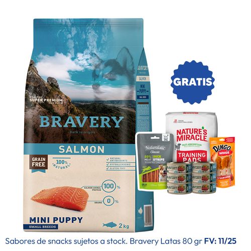 Bravery Cachorro Raza Mini y Pequeña Salmón 2 kg