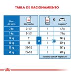 R381118---CCN-LIGHT-WEIGHT-CARE-CWP-12X85G--12-