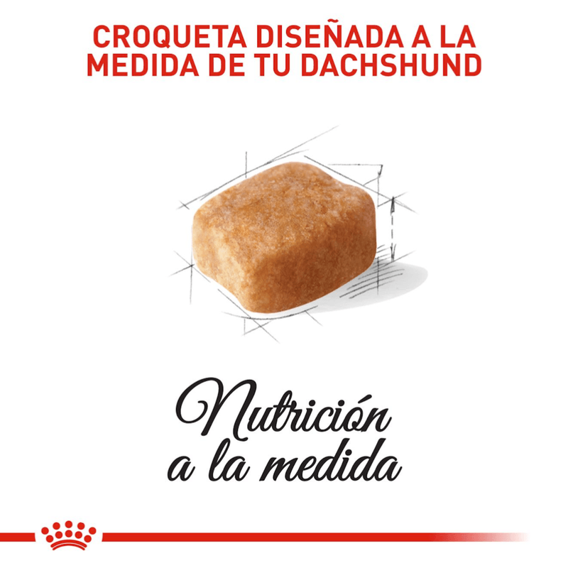 BHN DACHSHUND ADULT - CROQUETA