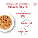 royal-canin-kitten-alimento-en-gelatina-para-gatitos--1-