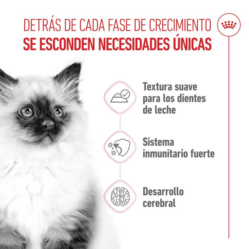 royal-canin-kitten-alimento-en-gelatina-para-gatitos